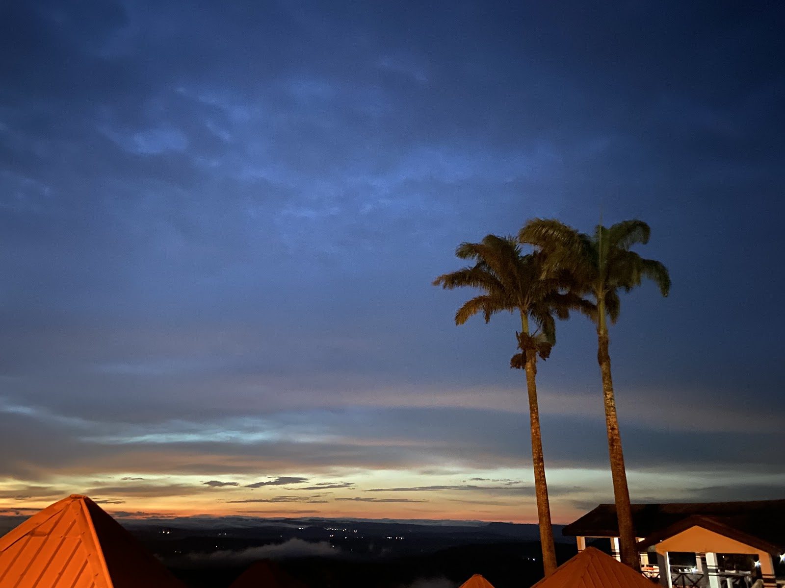 Palms silhouetted against a blue and gold ridge sunset