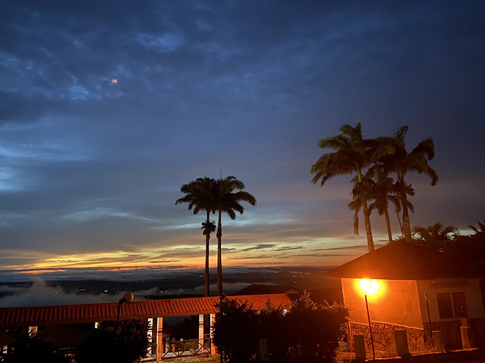 Palm trees and low clouds at dusk above Palm Hill Hotel